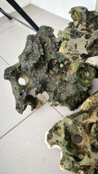 Vendo Rocha Sansibar