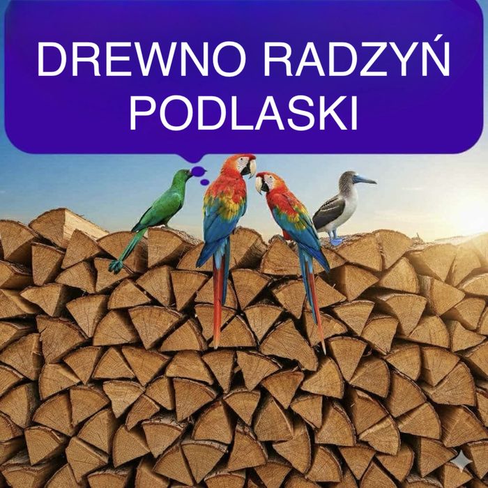 Drewno kominkowe Radzyń Podlaski dąb
