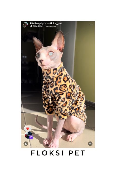 Теплий Одяг для котів сфінкс девон рекс одежда для котов