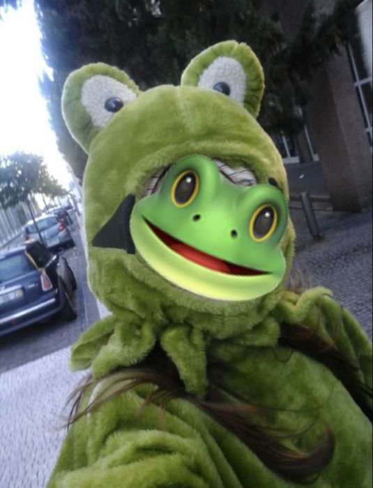 PARA DESOCUPAR!!! Vendo fato de carnaval