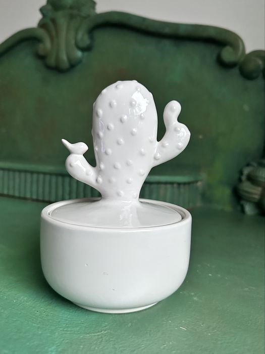 Szkatułka ceramiczna kaktus