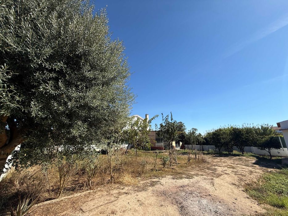 ALUGO casa T2 com jardim em Fernão Ferro de Novembro a Junho