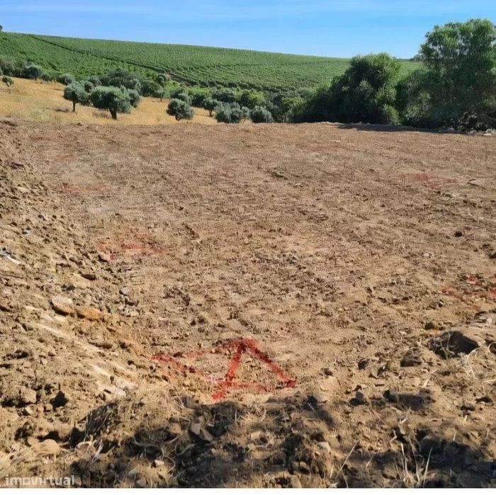 Terreno rustico Baixo Alentejo 4.1 hectares — Baleizão, Beja