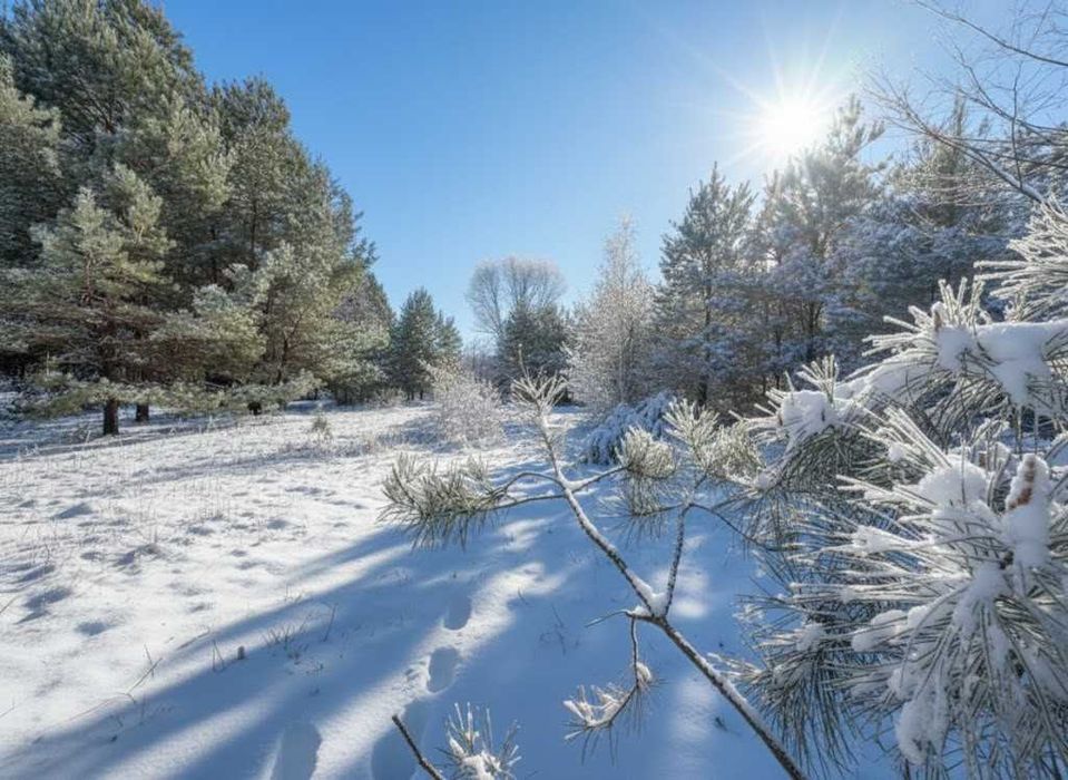 Продаж ділянки 39 соток біля озера