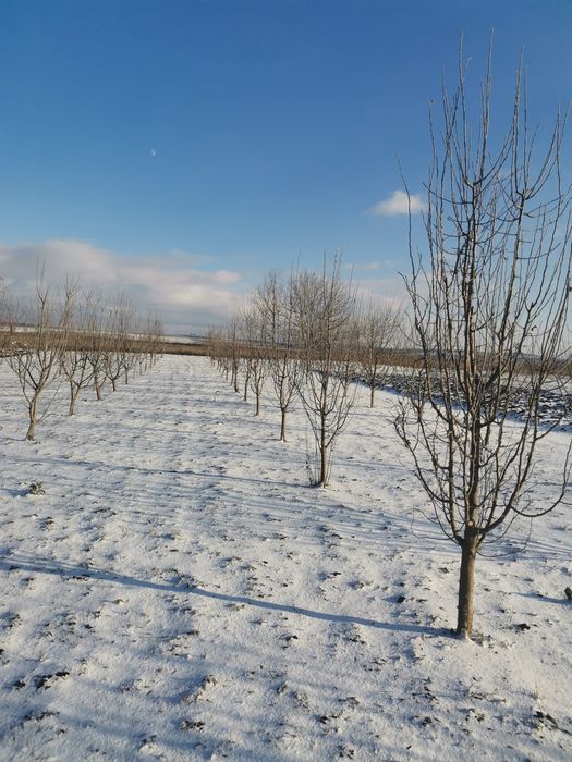 Продам земельну ділянку