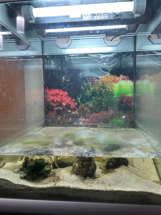 Aquario com móvel incluído