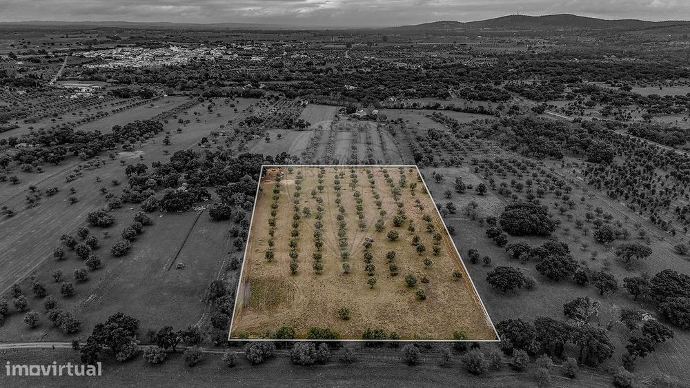 Terreno  para venda — Vila Nova da Baronia, Beja