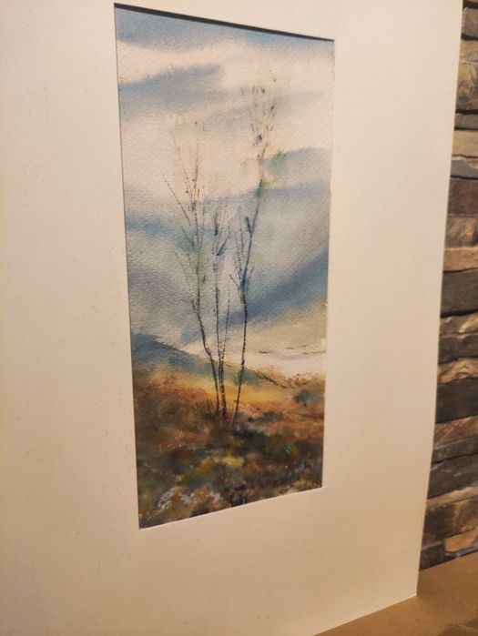 Xavier Galiza - pintura a aguarela