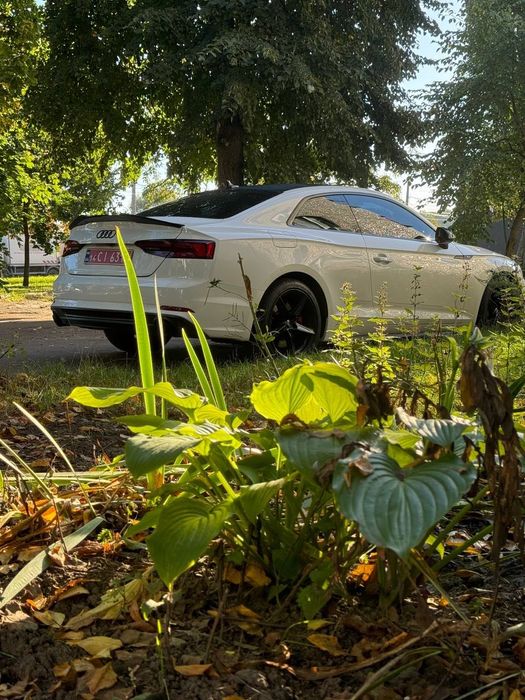 Терміново A5 Audi Sline Quattro