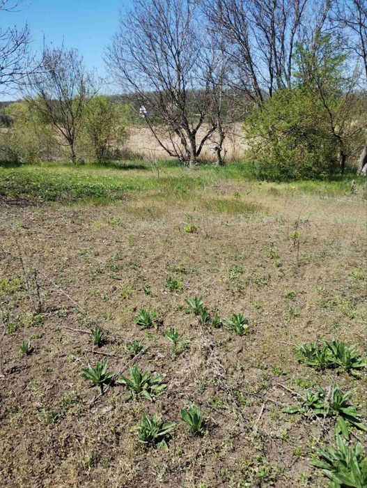 Продам Участок 16 сот. Антоновка возле ставка, озера, Новоалександровка
