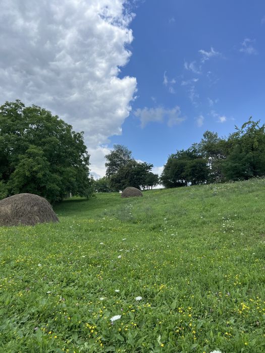 Продаж! Земля 50 сотих + будинок