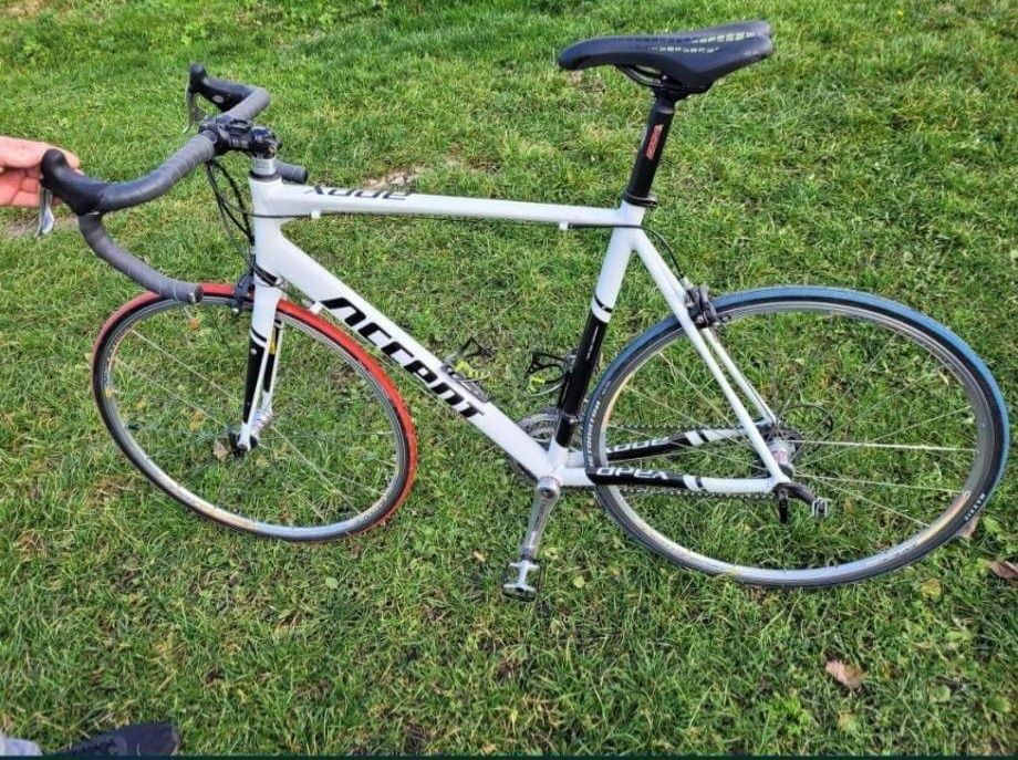 Rower szosowy, accent apex, compagnolo podzespoły