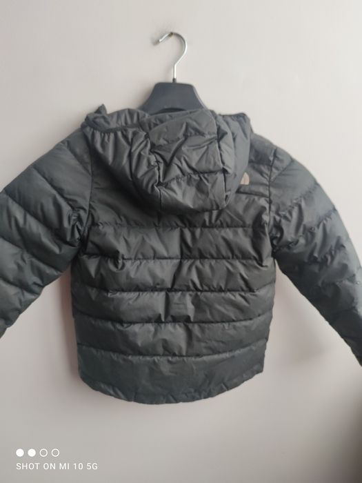 Kurtka damska S Massimo Dutti