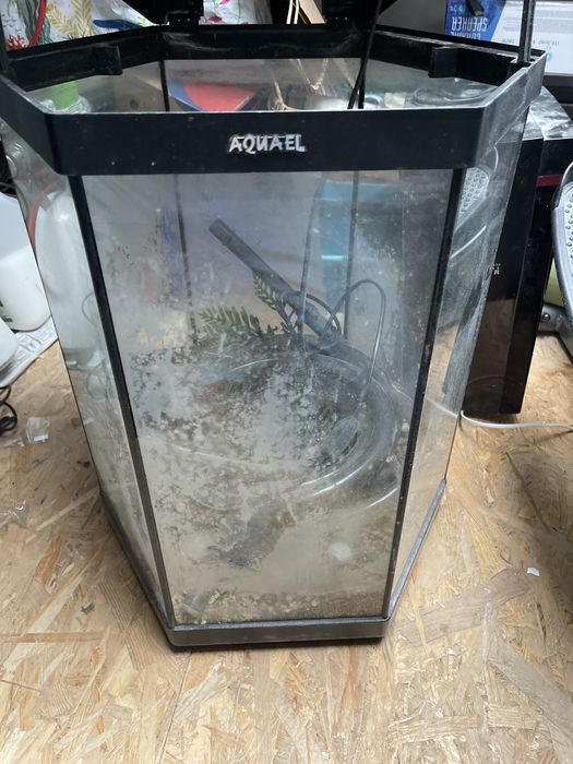 Akwarium  z filtrem i akcesoria