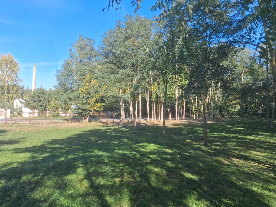 Działka pod dom przy lesie i Zbiorniku Jeziorsko – 1158 m², WZ bezterminowa - Widok 3