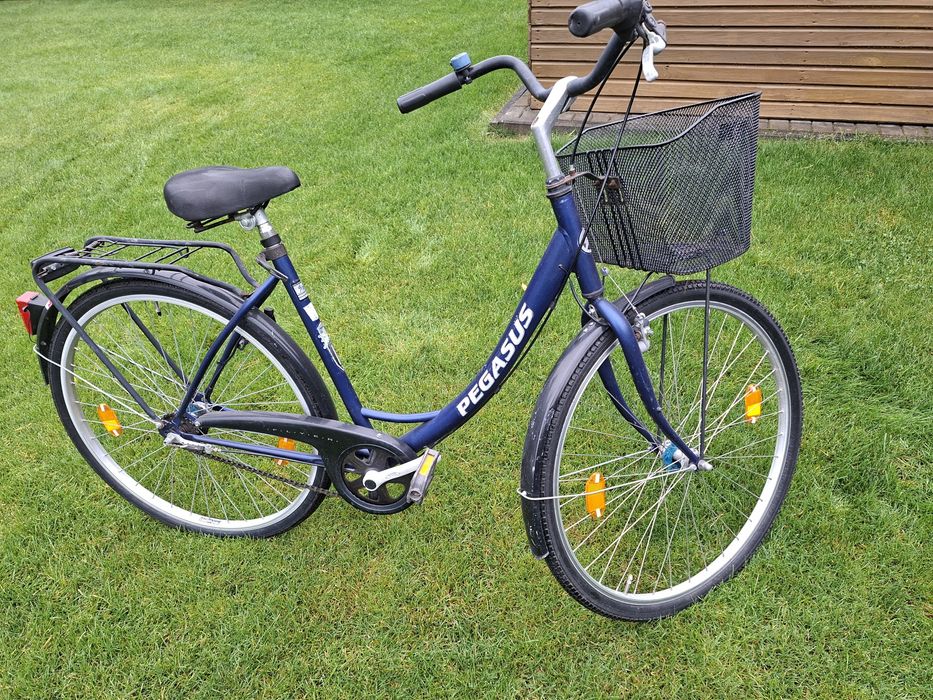 Rower damka Pegasus