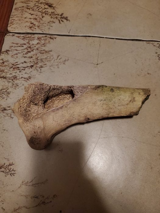 Декор для акваріума глина каміння