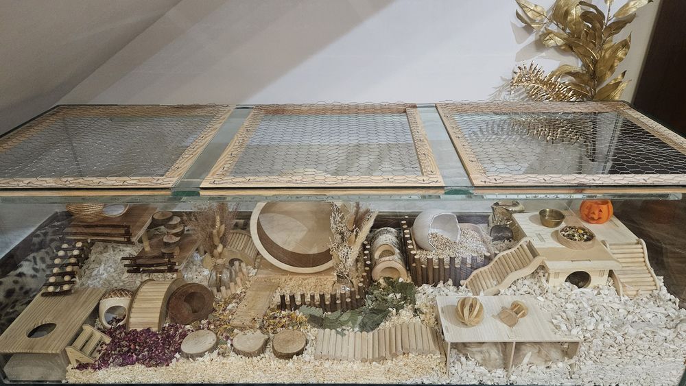 Chomikarium akwarium 150x50x50