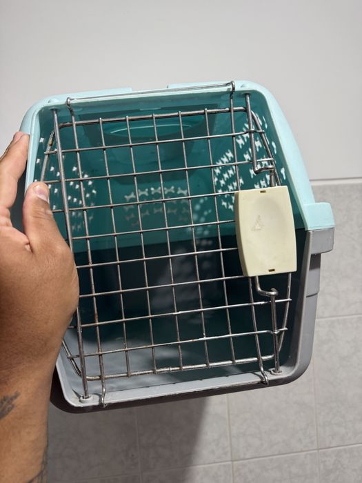 Caixa de Transporte para Cães ou Gatos