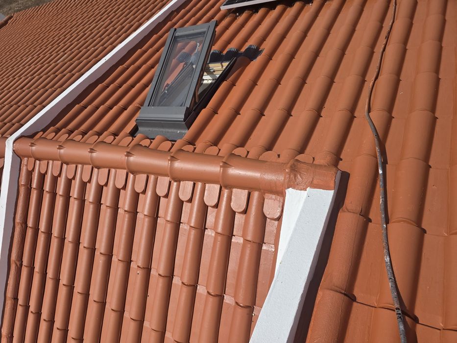 Limpeza Telhados/Reparação de infiltrações/Isolamentos todo o tipo / Pinturas Gerais/Remodelações