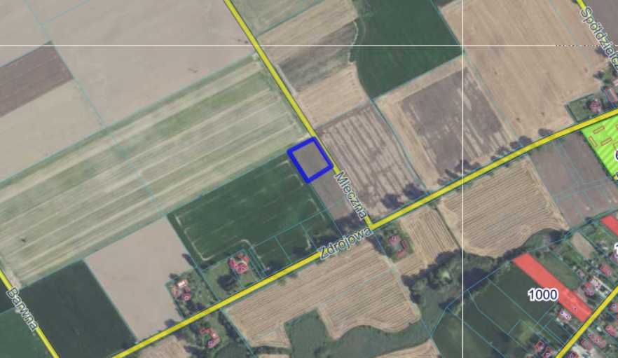 x2 Działki rolne 6200 m² przy ul. Mlecznej - Warszewice, gm. Łubianka - Widok 3