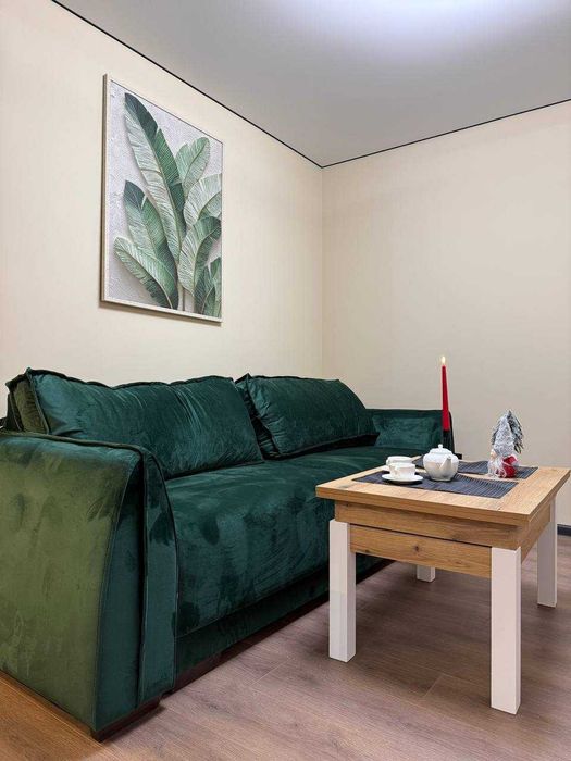 Пров.Тарнавського, сучасний ремонт. Кухня-студія + спальня.