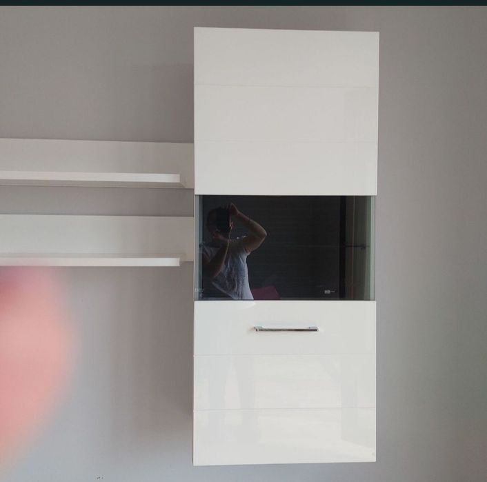 Mebloscianka salonowa