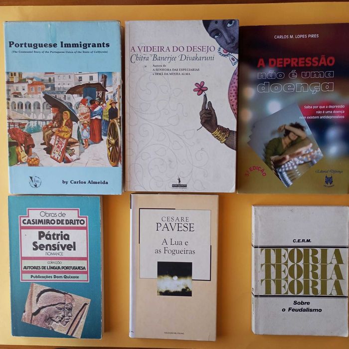 Coleção de Livros Mistos - Autores Variados - Conjunto 25