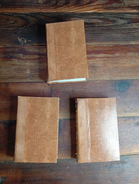 Manuels-Roret – Facteur d’Orgues (1849)