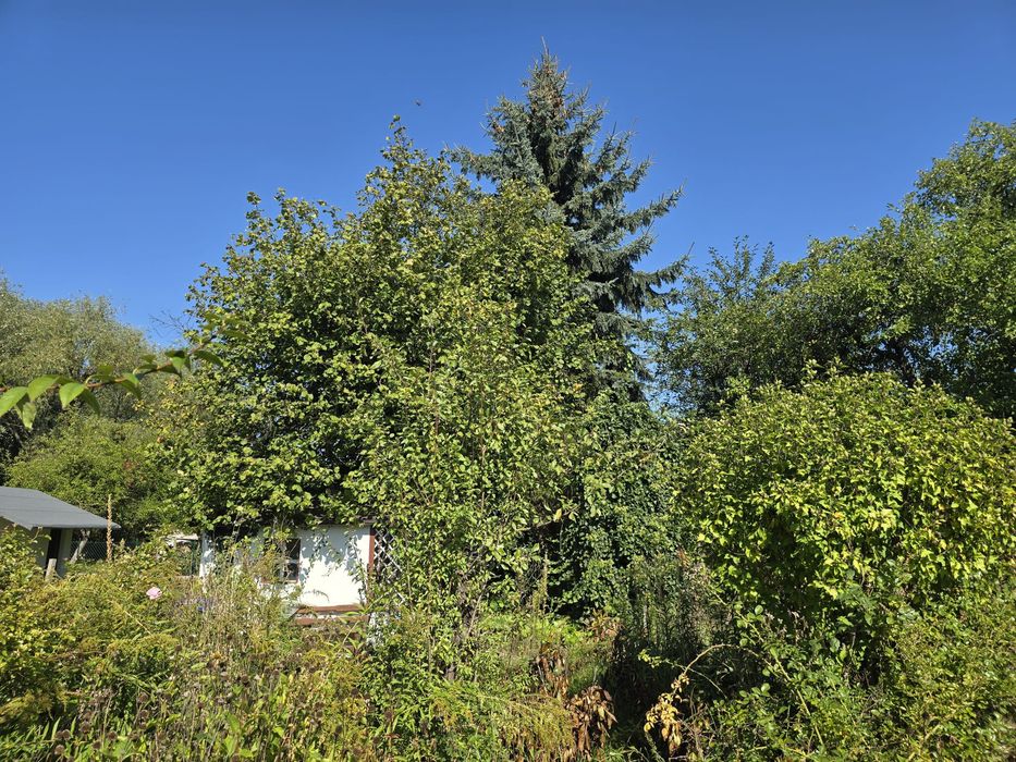 Działka ROD PLON – Wrocław, ul. Góralska | 339 m² - Widok 3