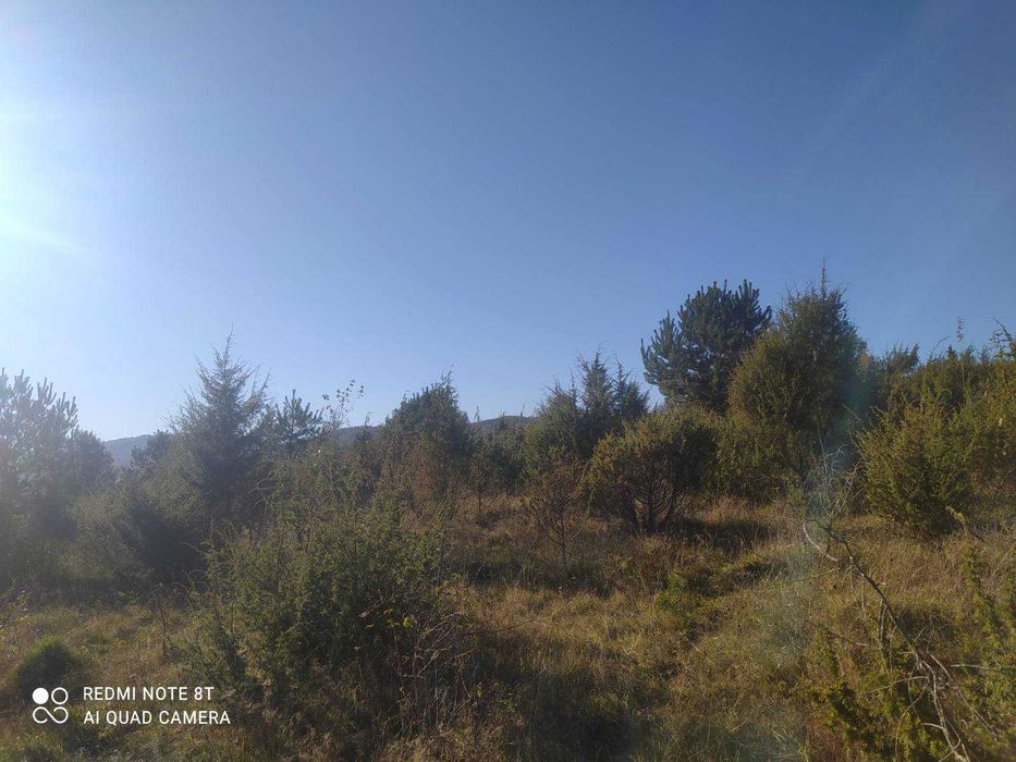 Земельна ділянка