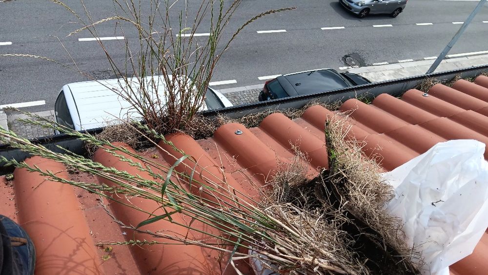 Limpeza de caleira, telhados e Desentupimentos64840540997505121