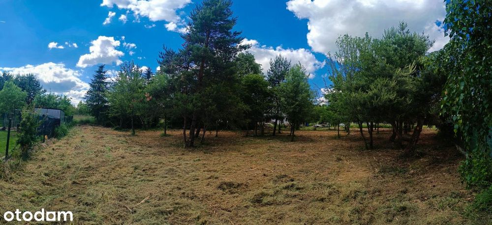 Działka budowlana 1750 m², blisko lasu BRZEZINY/BILCZA – pohled 5