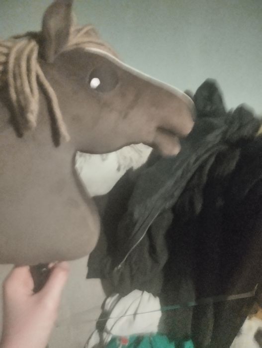 Hobby horse  trochę używany