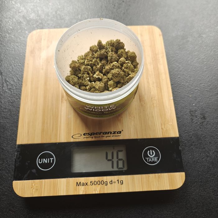 Susz konopny 02THC White Widow 29% CBD