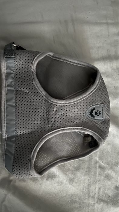 Світловідбиваючі шлейки та повідець для домашніх собак, котів