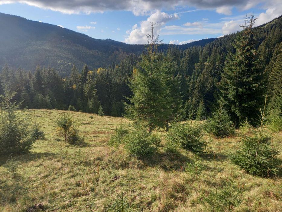 Земельна ділянка в Кривопіллі.