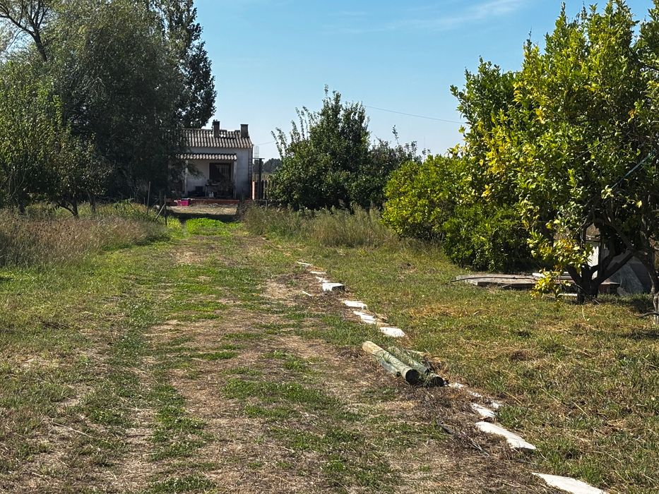 Terreno com 2 casas Habitacionais