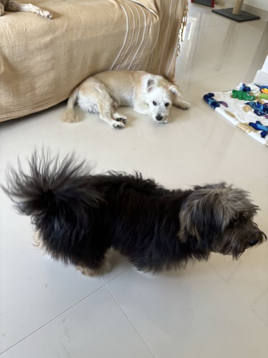 Hospedagem no meu domicilio