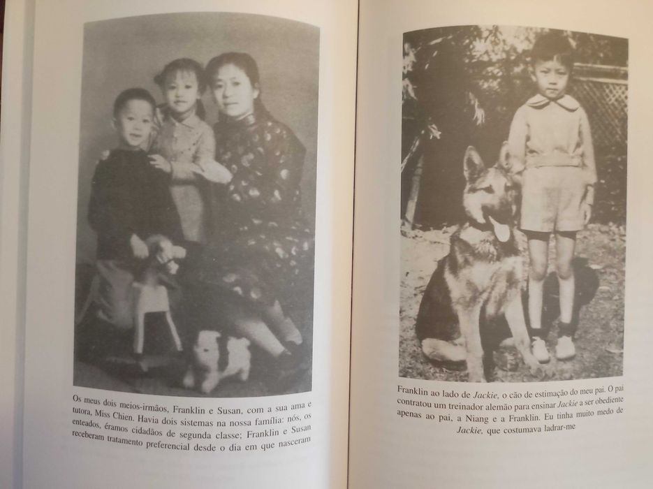 Folhas caídas, de Adeline Yen Mah