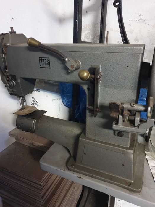 Rymarka praworamienna z transportem iglowym