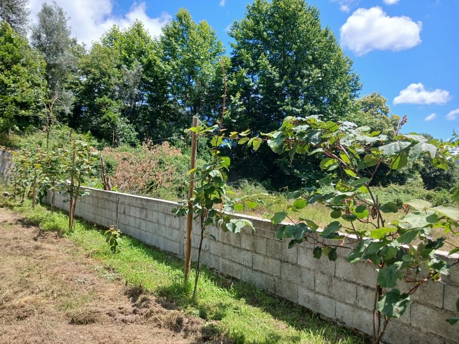 Vendo terreno ( dois artigos rusticos)e casa para reconstruir (artigo urbano)
