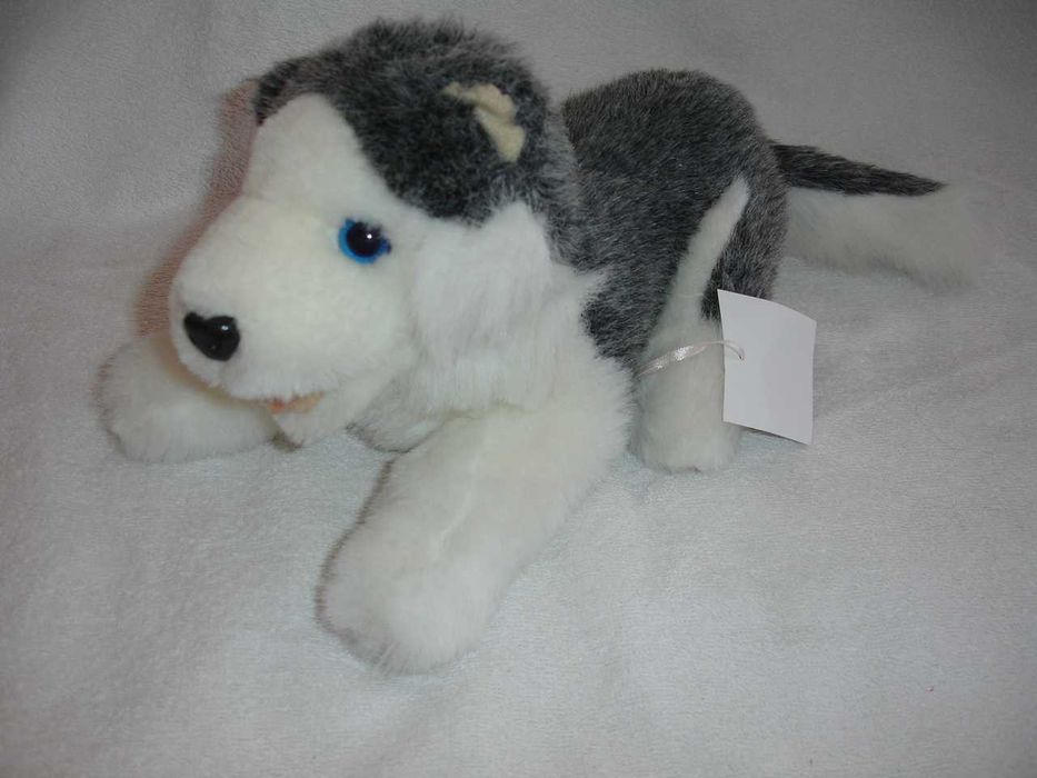 Vários peluches novos