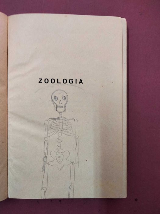 Noções de Zoologia - Augusto C. G. Soeiro