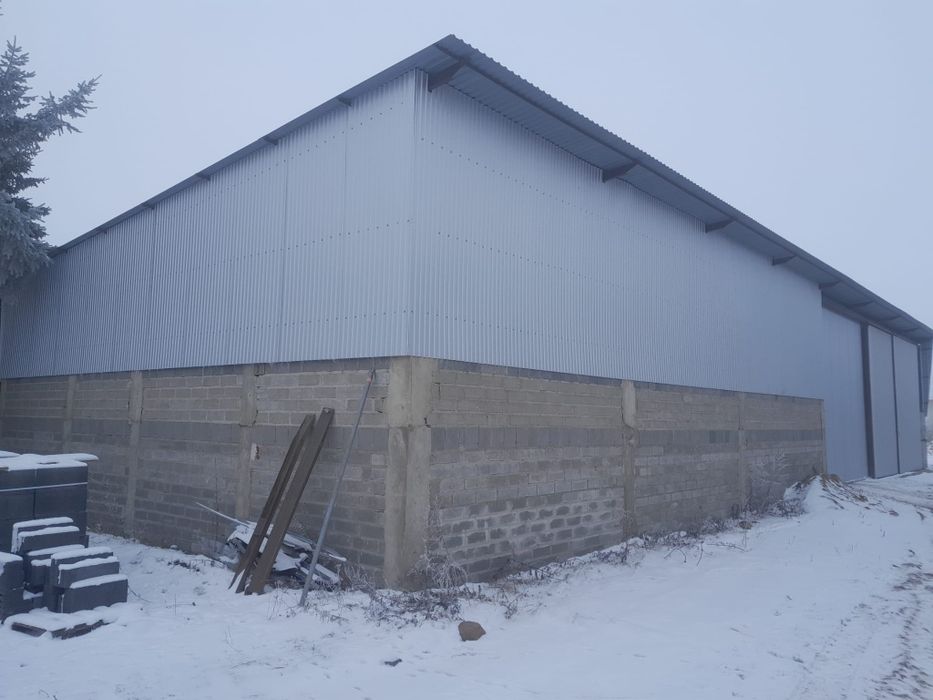 Wynajmę magazyny w  Grzybowie