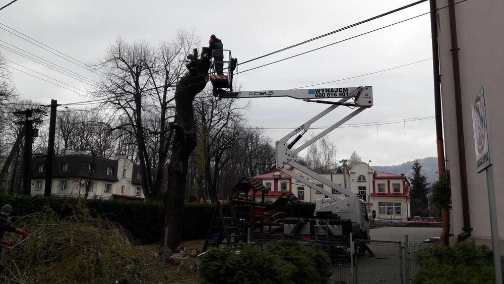 Wycinka drzew, mielenie gałęzi, usługi ogrodnicze,