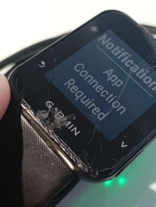 Garmin Forerunner 35439595370629703683