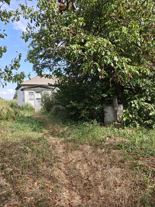 Продам будинок 73 м², 40 соток землі, є хлів та погреби є обмін на авто