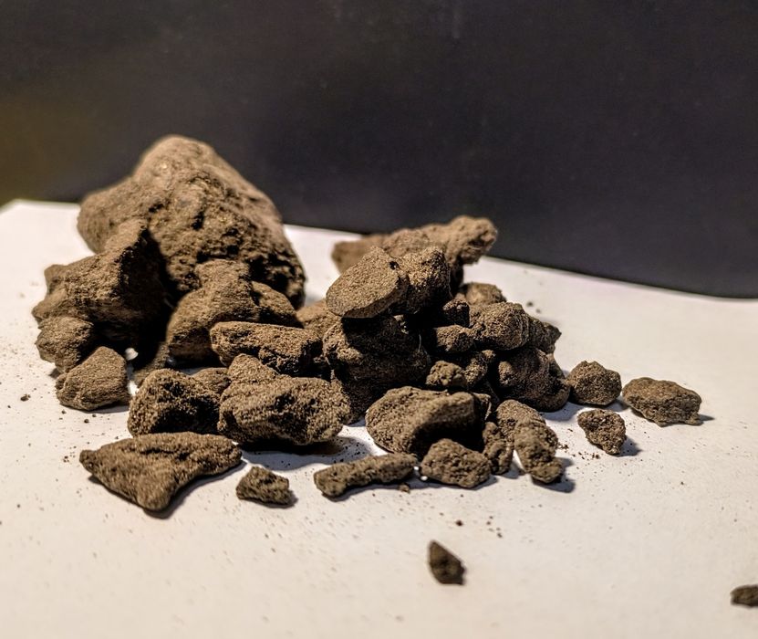 Legalny hasz CBD 10g  31%