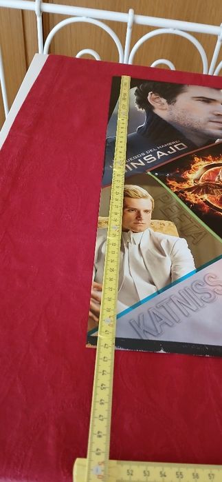 Poster Sinsajo - Katniss e Gale,  novo